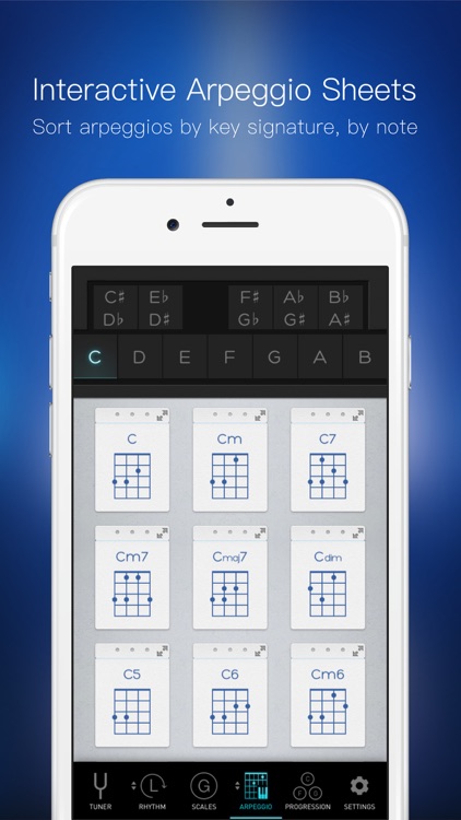 Bass Toolkit - Tuner, Metronome and Chord Progresssions screenshot-4