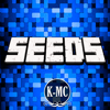 Seeds para Minecraft PE Seed Gratis Pocket Edition - KISSAPP, S.L.
