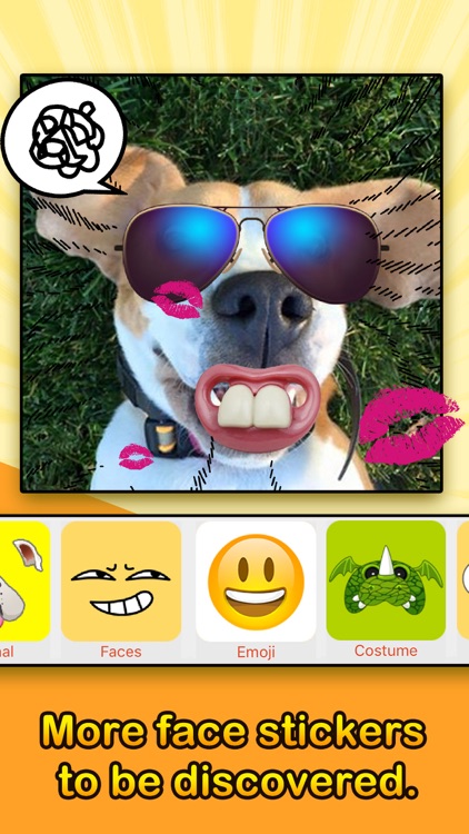 Face Filters - Dog & Other Funny Face Effects screenshot-3