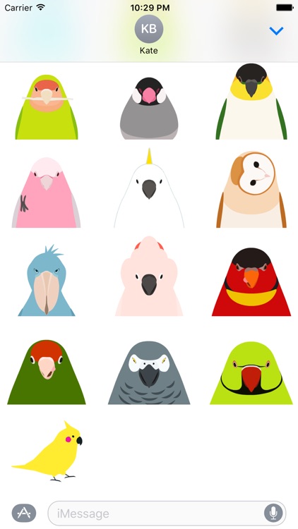 Animated Bird Stickers - Tori no iro