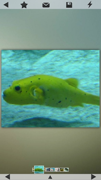 World of Zoo screenshot-4