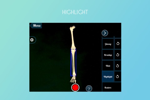 Human Leg 3D screenshot 3