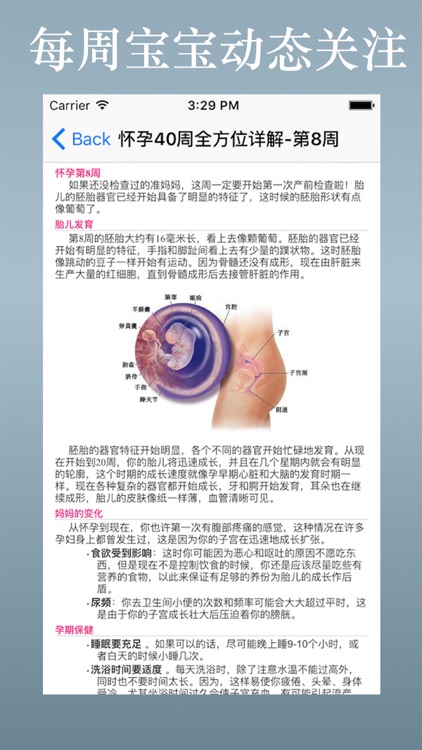 怀孕40周全方位详解