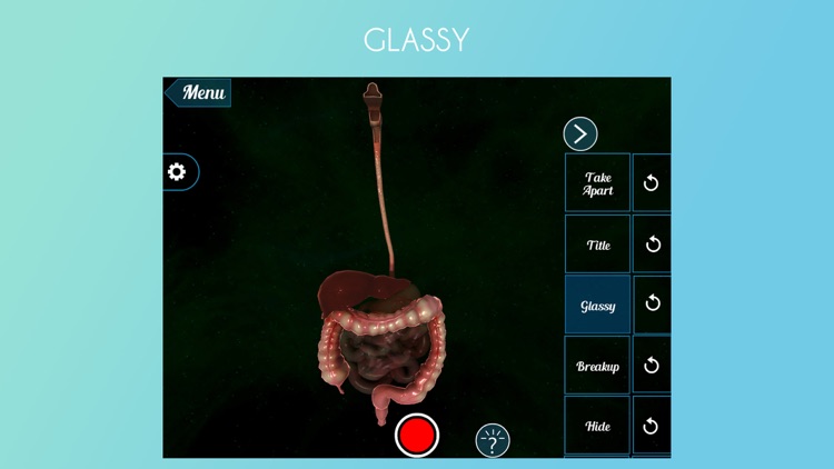 Human Alimentary Canal 3D screenshot-3