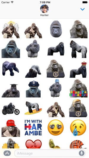 Harambe Sticker Pack(圖2)-速報App