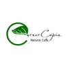 CornerCopia Cafe