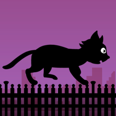 Activities of Black Cat Run