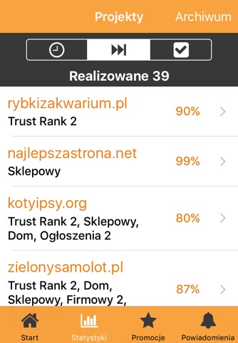 Pozycjonusz screenshot 2