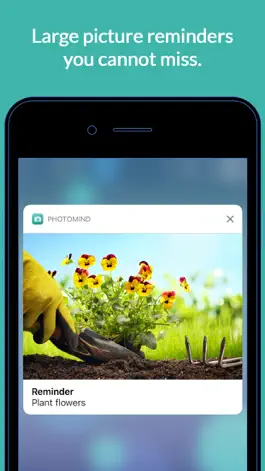 Game screenshot PhotoMind - Simple. Photo. Reminders. mod apk