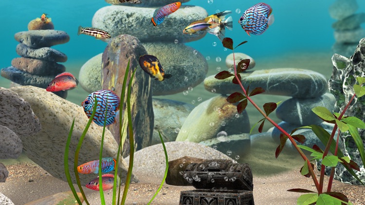 MyLake 3D Aquarium screenshot-4