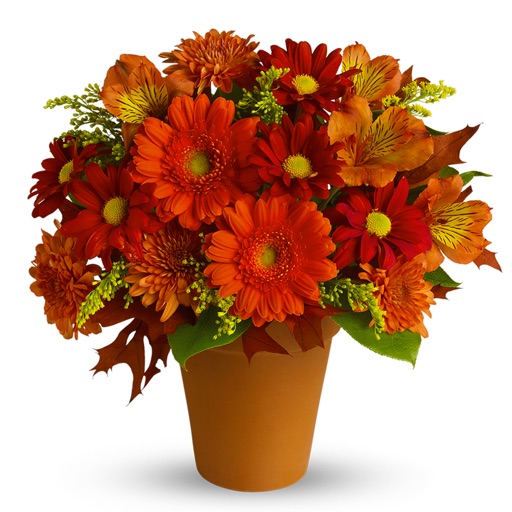 Orange Flowers Bouquets icon