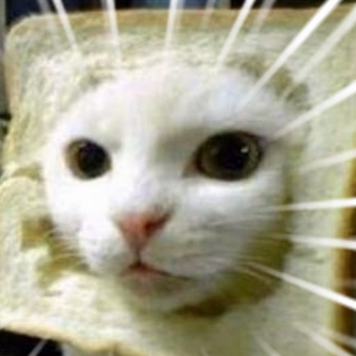 もふもふにゃんこ - かわいい猫で癒される、ねこ好き必携のアプリ