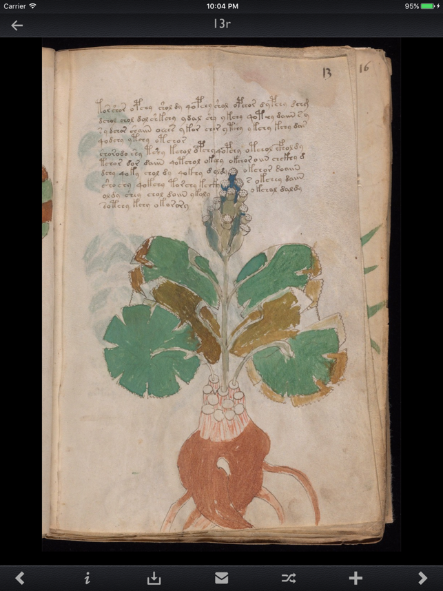 Voynich Manuscript Kit Screenshot