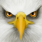App Icon for Ultimate Bird Simulator App in Pakistan IOS App Store