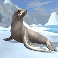Activities of Sea Lion Simulator