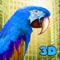 Follow the wind towards the big city and fly between the skyscrapers and large buildings as a fugitive pet with City Parrot Simulator 3D