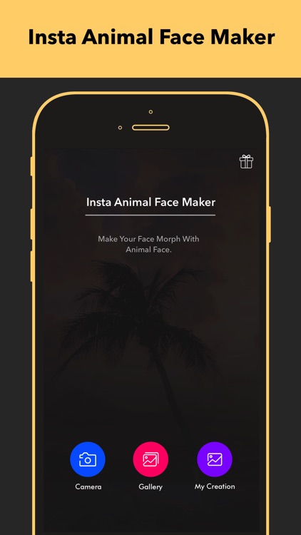 Insta Animal Face Maker - Insta Animal GIF Maker