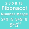 Number Merge Fibonacci 5X5 - Merging Number Block