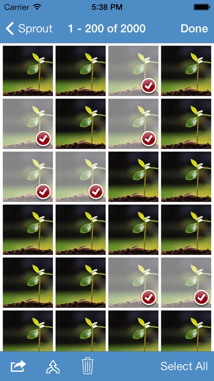 OSnap! Pro • Time-Lapse & Stop Motion Camera screenshot-4