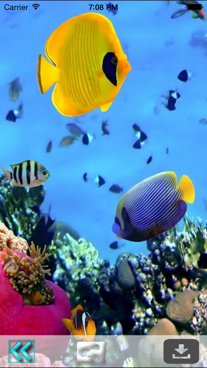 Underwater World Livewallpaper