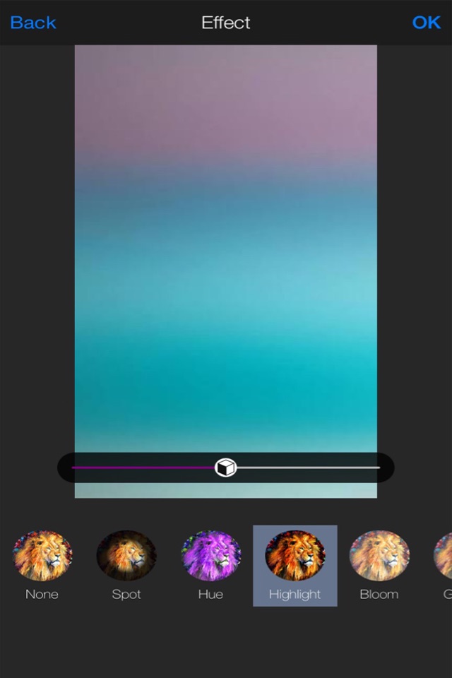 PhotoEditor+ - Make Frames, Stickers & Retro Picture Effects screenshot 3