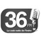 36 Fm is a local Internet radio based in Neuvy Saint Sepulchre 