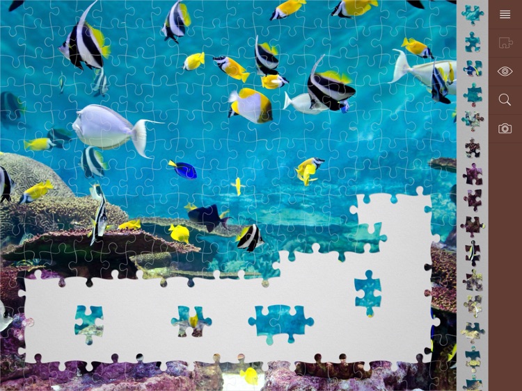 My Jigsaw Puzzles