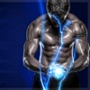 Science of Building the Ultimate Male Body
