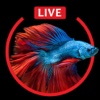 Aquarium Live Wallpapers for Lock Screen