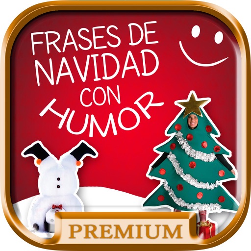 Christmas phrases and states with humor - Pro