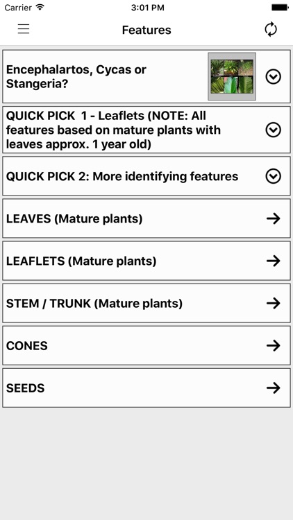 IDentifyIt Cycads