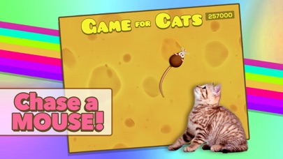 How to cancel & delete Game for Cats from iphone & ipad 1