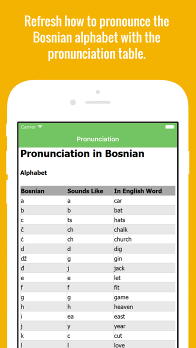 How to cancel & delete Bosnian Flashcards with Pictures Lite from iphone & ipad 2