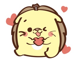 Let the furry Hegdehog dog, YuanYuan, warmed your heart