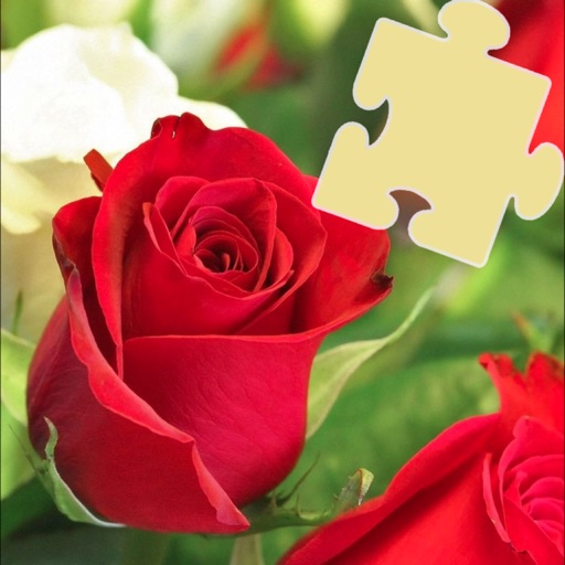 Flowers Best Puzzles Master icon