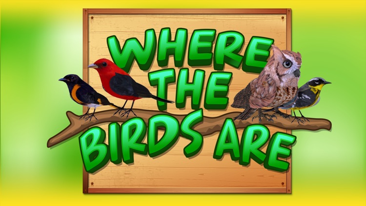 Where The Birds Are