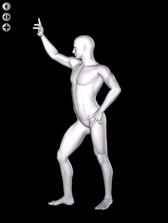 360 Anatomy for Artists HD: Male Figure