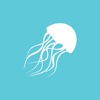 The Jellyfish App Lite