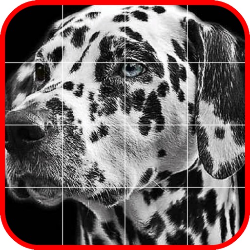 Picross Album - Nonogram iOS App
