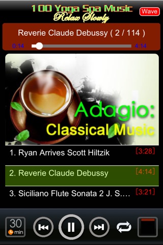 100 Yoga Spa Relax Music screenshot 2