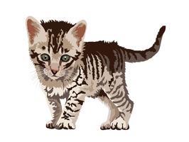 Cutest kitten sticker pack, ever