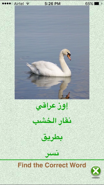 FlashCards Arabic Lesson