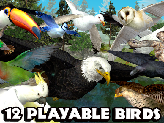 Ultimate Bird Simulator Ultimate Bird Simulator