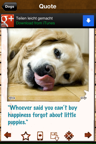Dogs - Everything for Dog Lovers! - náhled