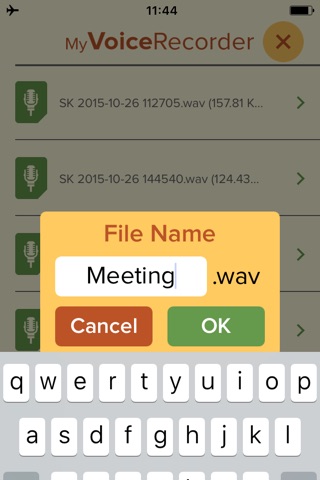 My Voice Recorder Pro screenshot 4