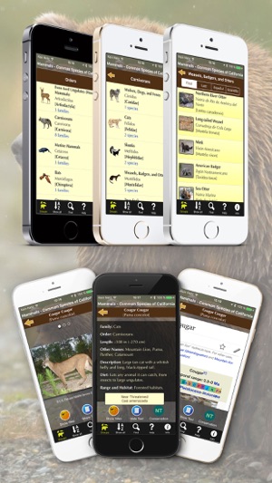 California Mammals – Guide to Common Species(圖3)-速報App