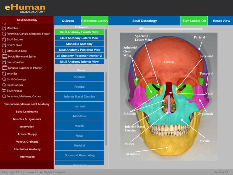 eHuman Head and Neck Anatomy screenshot-3