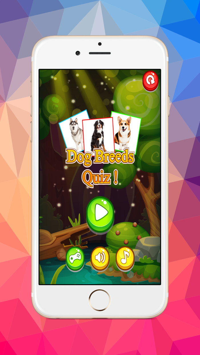 Dog images compare word guessing exercise quiz