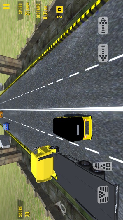 Tuk Tuk Auto Rickshaw 3D screenshot-3