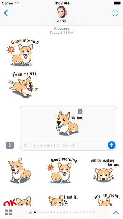 Pembroke Welsh Corgi - Dog Stickers and Emoji